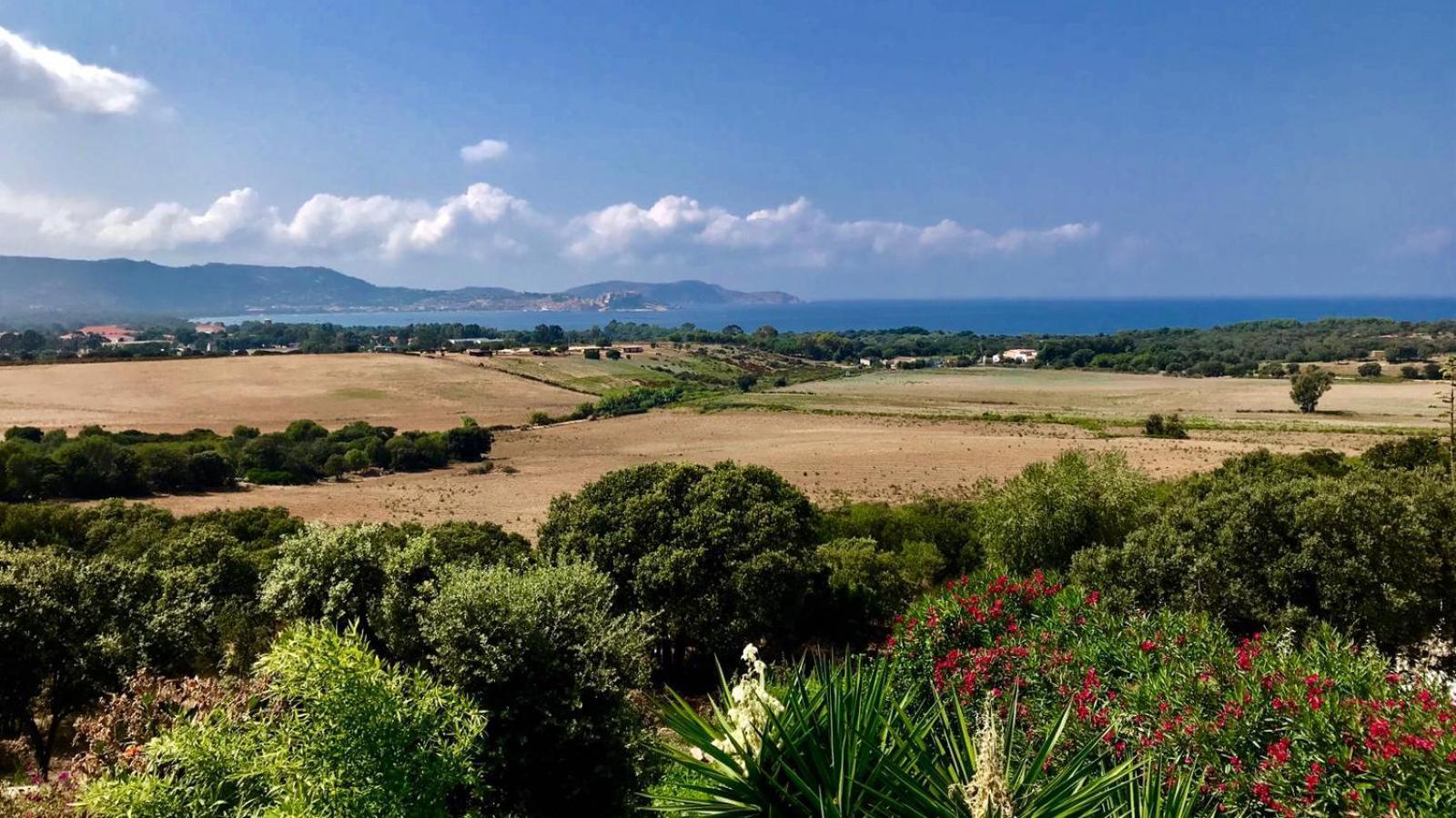 Villa La Vista Lumio  Exteriér fotografie