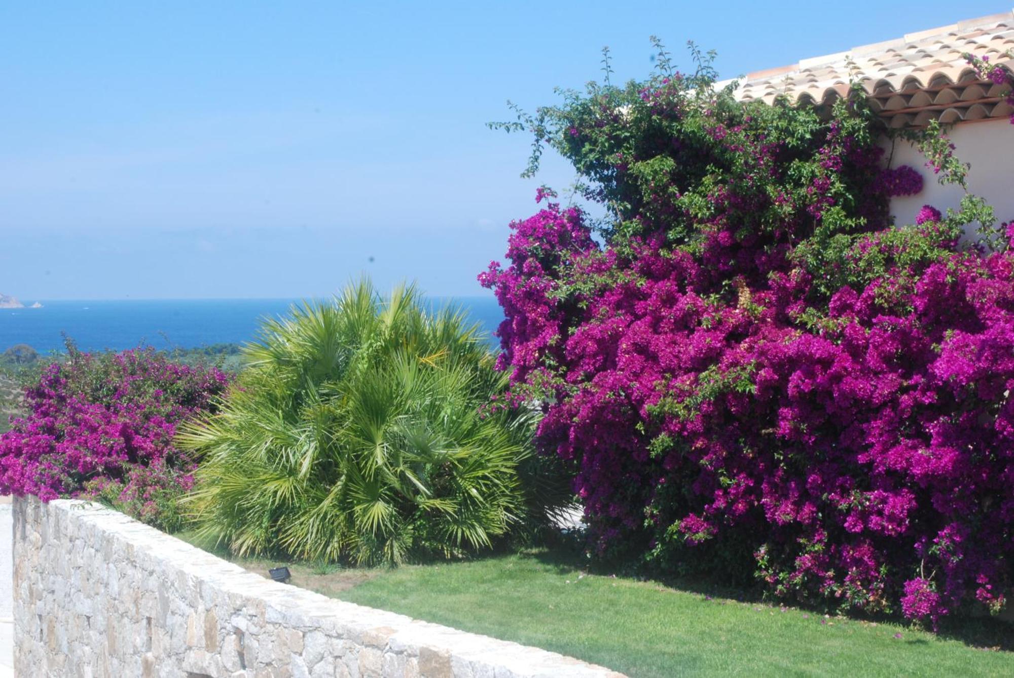 Villa La Vista Lumio  Exteriér fotografie
